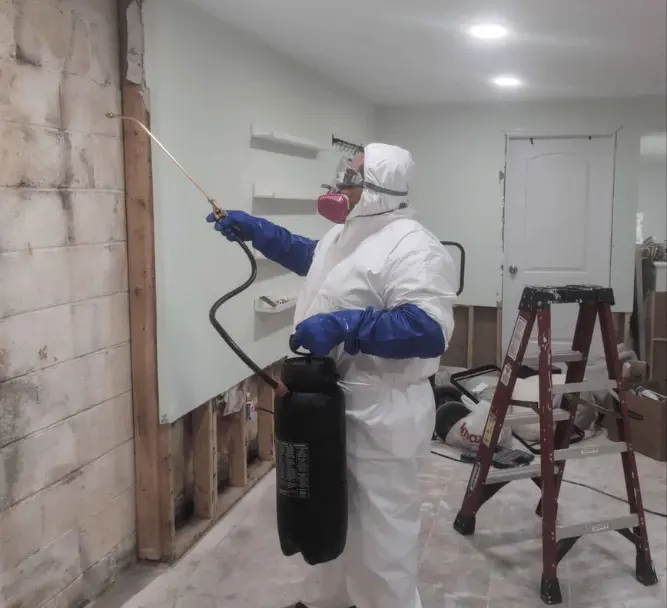 Move Junk team offering 24/7 water damage restoration, sewage cleanup, and mold remediation services for homes in Baltimore.