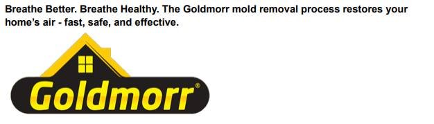 goldmorr mold removal baltimore
