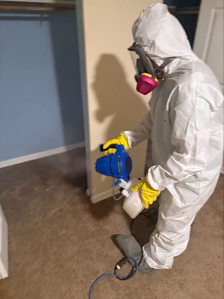 mold remediation