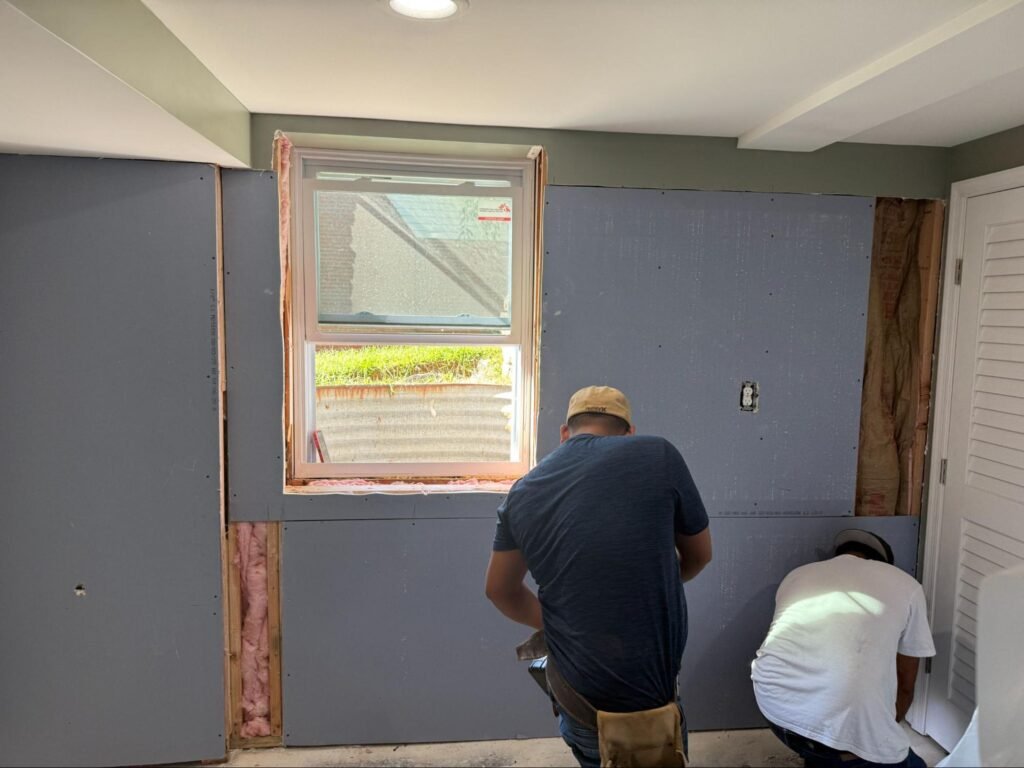 baltimore mold remediation
