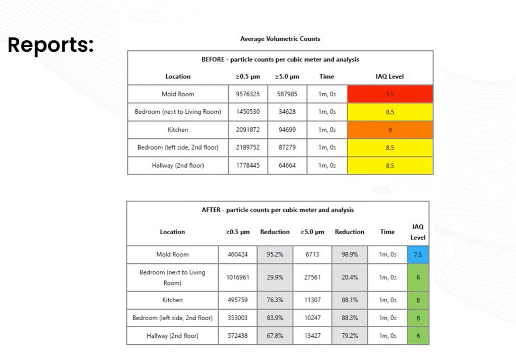 Mold remediation Owings Mills
