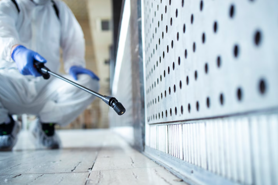 Pest Control worker spraying an indoor area.