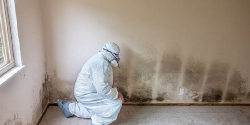 mold-remediation