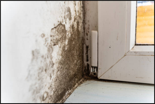 damage water removal