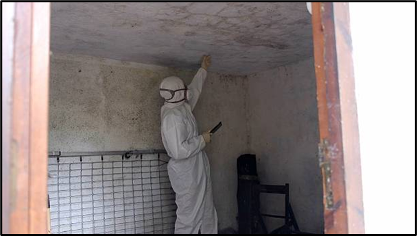 mold inspection company Parkville