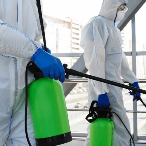 mold remediation towson